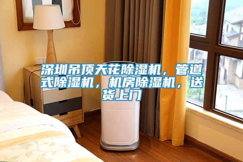 深圳吊頂天花除濕機，管道式除濕機，機房除濕機，送貨上門