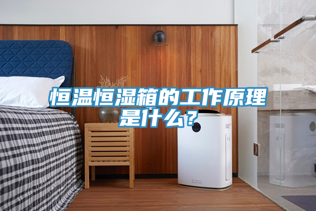 恒溫恒濕箱的工作原理是什么?