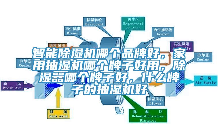 智能除濕機哪個品牌好，家用抽濕機哪個牌子好用，除濕器哪個牌子好，什么牌子的抽濕機好