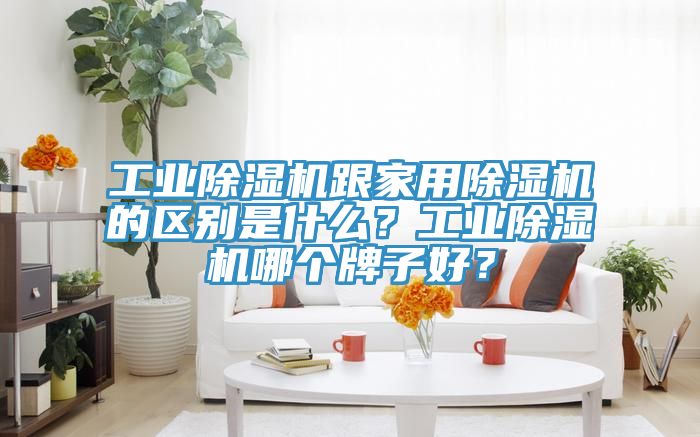工業除濕機跟家用除濕機的區別是什么？工業除濕機哪個牌子好？