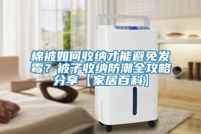 棉被如何收納才能避免發霉?被子收納防潮全攻略分享【家居百科】