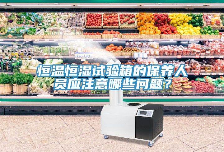 恒溫恒濕試驗箱的保養人員應注意哪些問題？