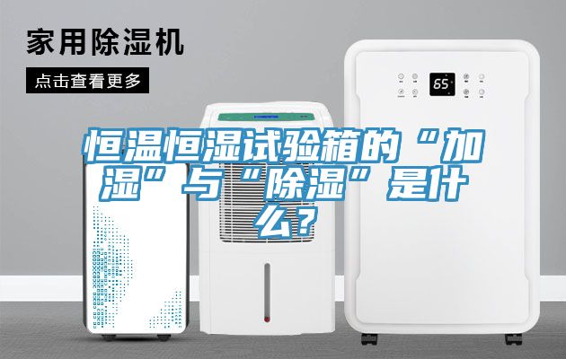 恒溫恒濕試驗箱的“加濕”與“除濕”是什么？