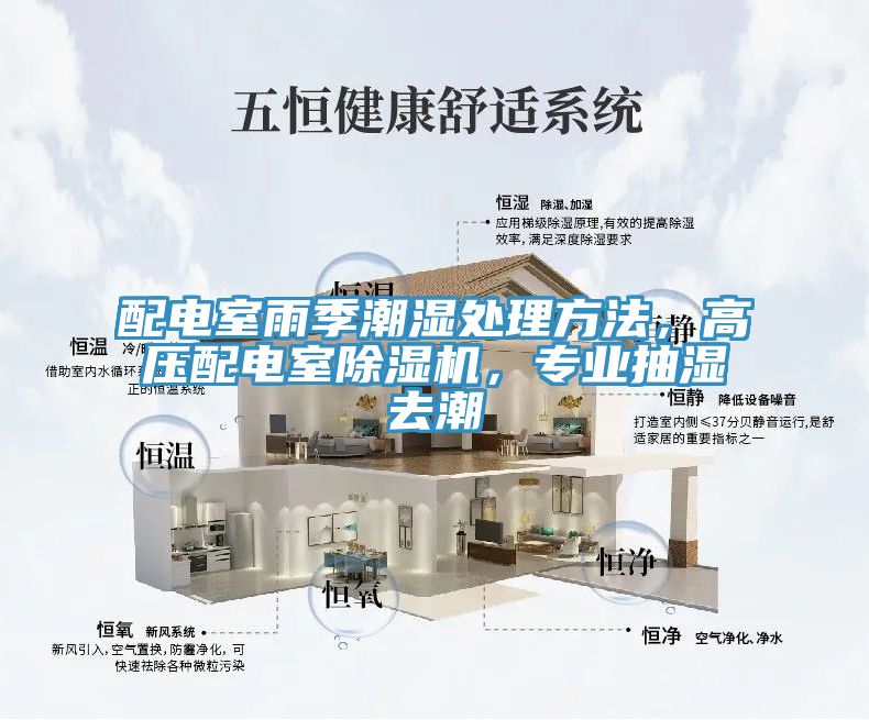 配電室雨季潮濕處理方法，高壓配電室除濕機(jī)，專業(yè)抽濕去潮