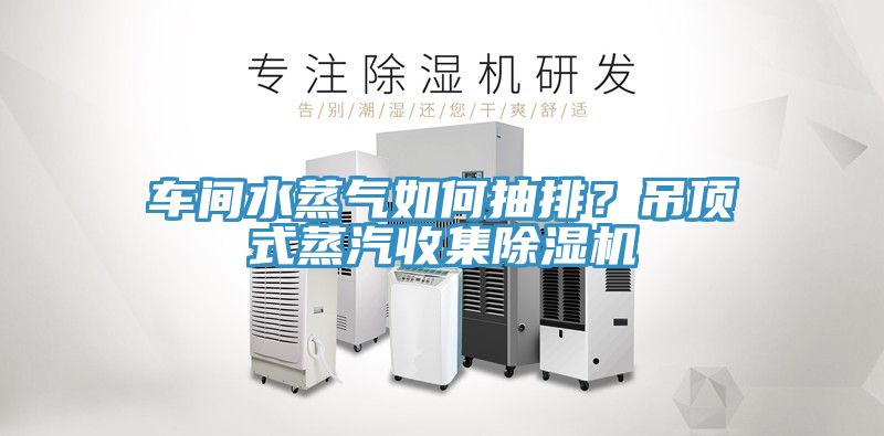 車間水蒸氣如何抽排?吊頂式蒸汽收集除濕機