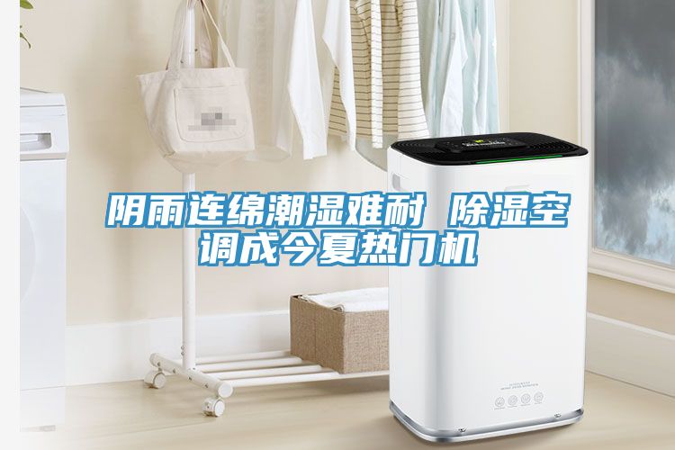 陰雨連綿潮濕難耐 除濕空調成今夏熱門機