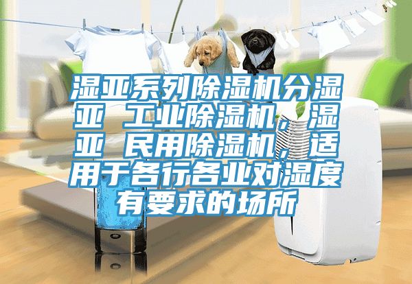 濕亞系列除濕機分濕亞 工業除濕機，濕亞 民用除濕機，適用于各行各業對濕度有要求的場所