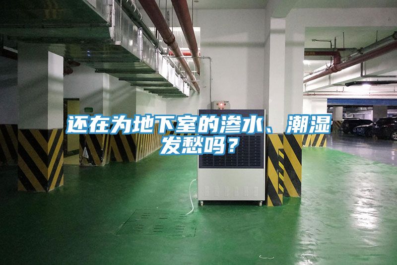 還在為地下室的滲水、潮濕發(fā)愁嗎？