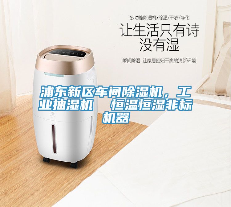 浦東新區車間除濕機，工業抽濕機  恒溫恒濕非標機器