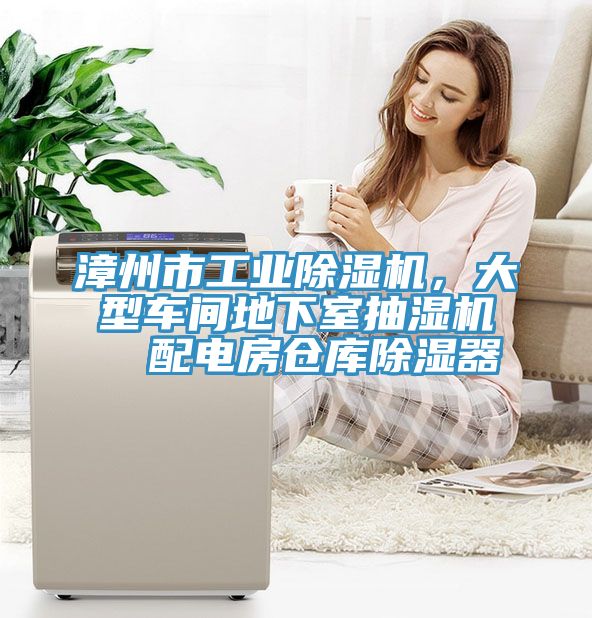漳州市工業(yè)除濕機，大型車間地下室抽濕機  配電房倉庫除濕器
