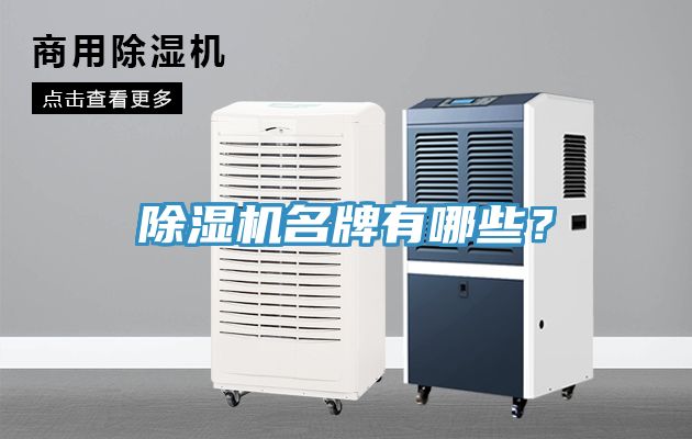 除濕機名牌有哪些？