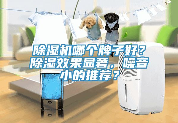 除濕機哪個牌子好？除濕效果顯著，噪音小的推薦？