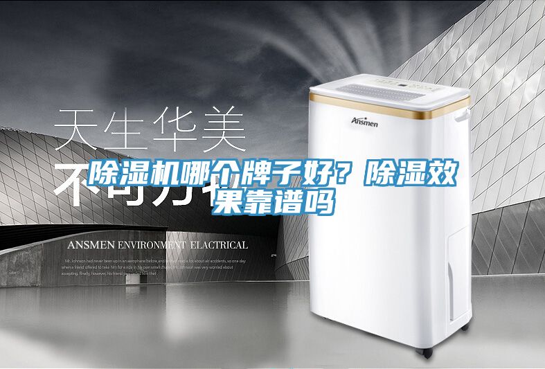 除濕機哪個牌子好？除濕效果靠譜嗎