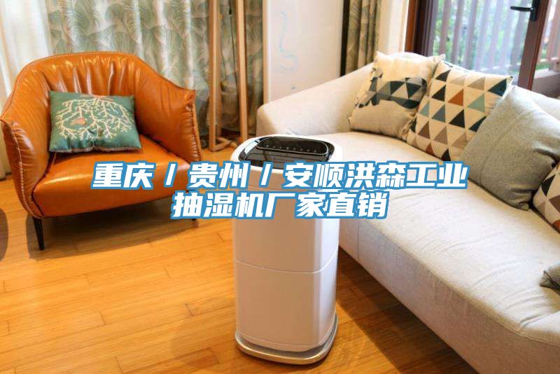 重慶／貴州／安順洪森工業抽濕機廠家直銷