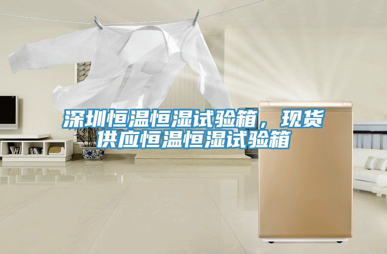 深圳恒溫恒濕試驗箱，現貨供應恒溫恒濕試驗箱