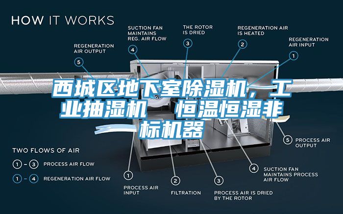 西城區(qū)地下室除濕機，工業(yè)抽濕機  恒溫恒濕非標機器