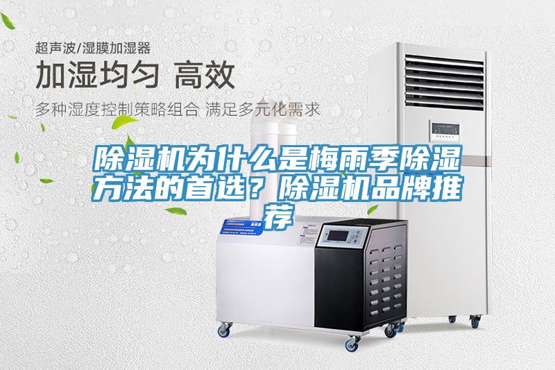 除濕機為什么是梅雨季除濕方法的首選？除濕機品牌推薦