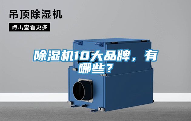 除濕機10大品牌，有哪些？