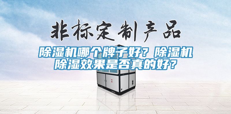 除濕機哪個牌子好？除濕機除濕效果是否真的好？