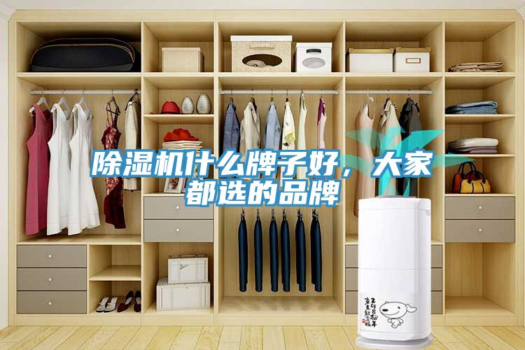 除濕機什么牌子好,大家都選的品牌