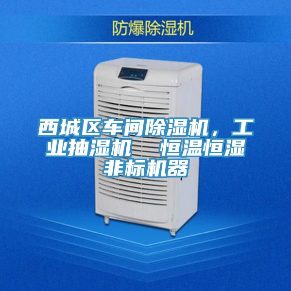 西城區(qū)車間除濕機，工業(yè)抽濕機  恒溫恒濕非標機器