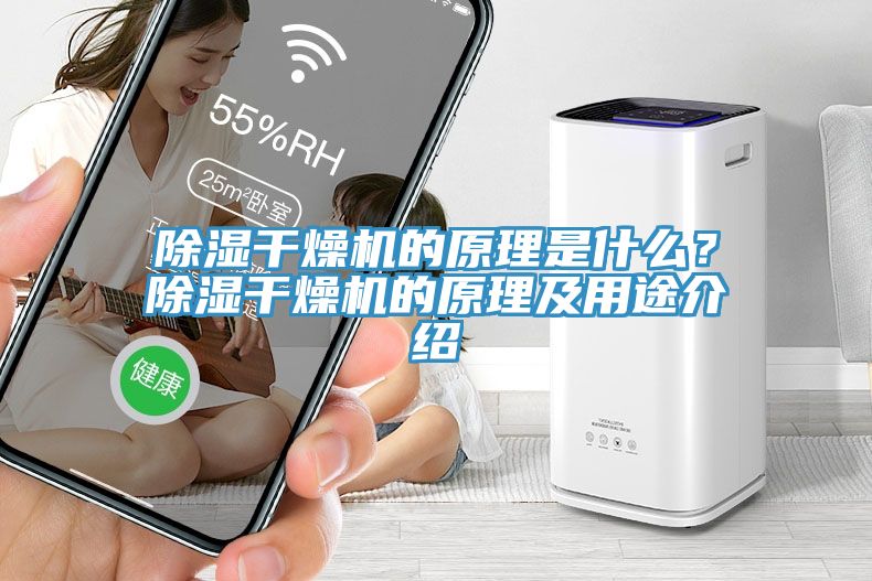 除濕干燥機(jī)的原理是什么?除濕干燥機(jī)的原理及用途介紹