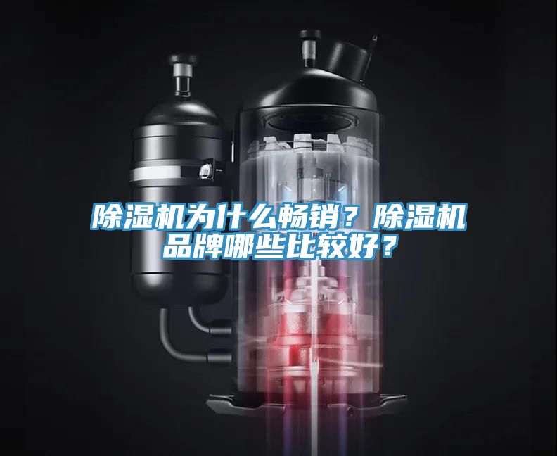 除濕機為什么暢銷？除濕機品牌哪些比較好？