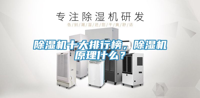 除濕機十大排行榜，除濕機原理什么？