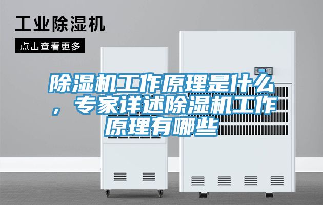 除濕機(jī)工作原理是什么，專(zhuān)家詳述除濕機(jī)工作原理有哪些