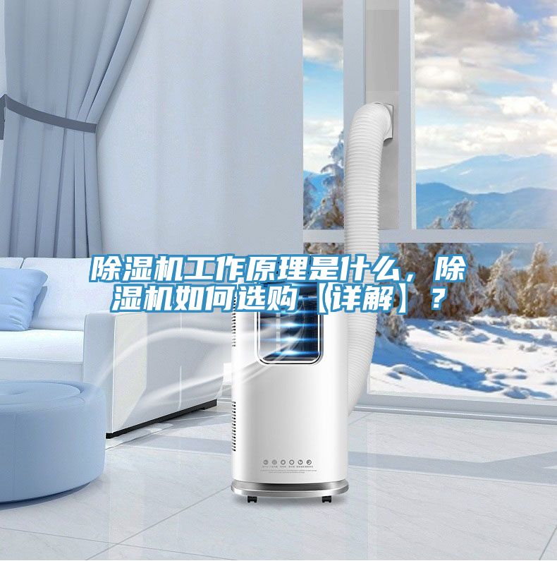 除濕機(jī)工作原理是什么，除濕機(jī)如何選購(gòu)【詳解】？