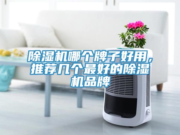除濕機(jī)哪個(gè)牌子好用，推薦幾個(gè)最好的除濕機(jī)品牌