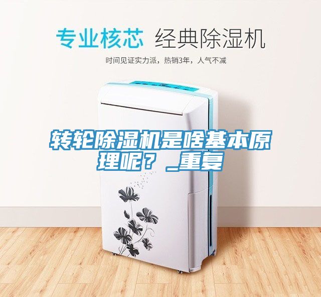 轉輪除濕機是啥基本原理呢？_重復
