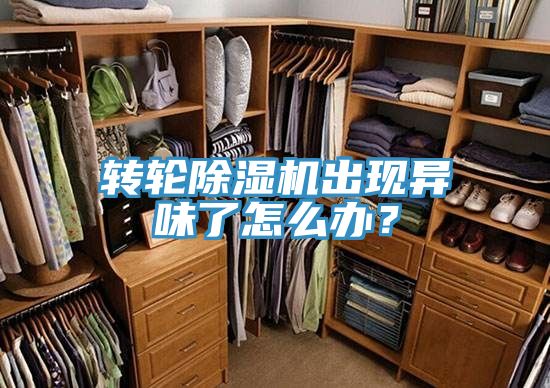 轉(zhuǎn)輪除濕機出現(xiàn)異味了怎么辦?