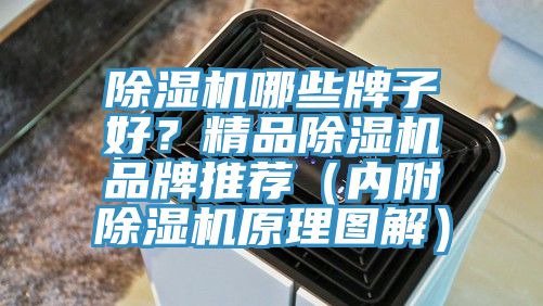 除濕機哪些牌子好？精品除濕機品牌推薦（內附除濕機原理圖解）