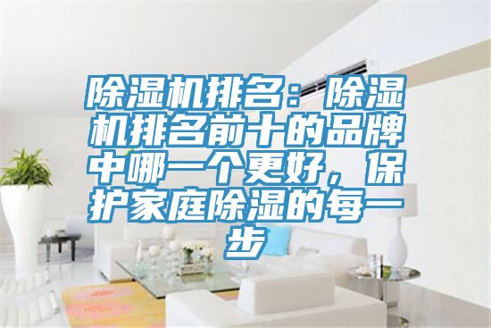 除濕機排名：除濕機排名前十的品牌中哪一個更好，保護家庭除濕的每一步
