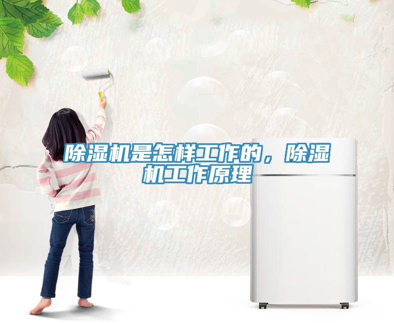 除濕機是怎樣工作的，除濕機工作原理