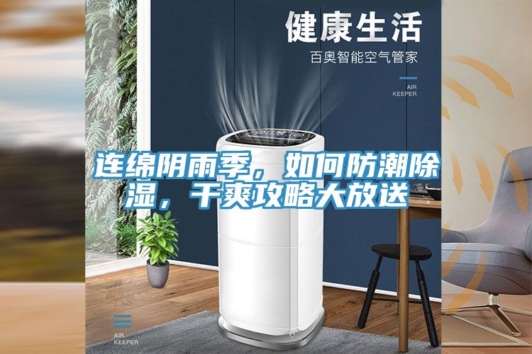 連綿陰雨季，如何防潮除濕，干爽攻略大放送