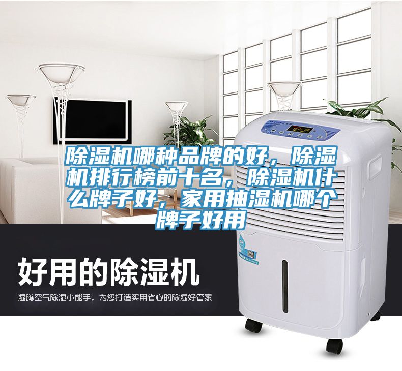 除濕機哪種品牌的好，除濕機排行榜前十名，除濕機什么牌子好，家用抽濕機哪個牌子好用