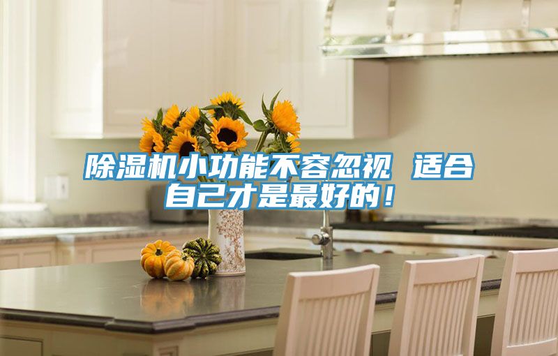 除濕機(jī)小功能不容忽視 適合自己才是最好的！