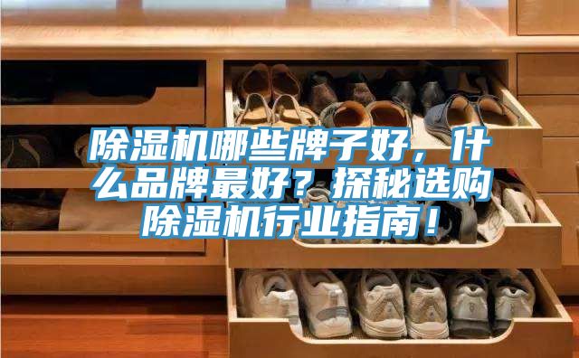 除濕機哪些牌子好，什么品牌最好？探秘選購除濕機行業指南！