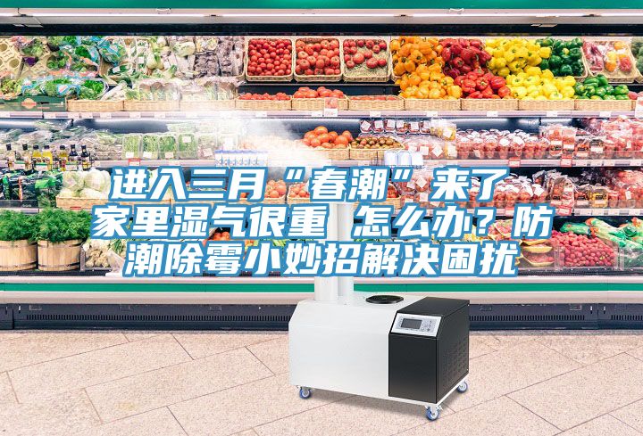 進(jìn)入三月“春潮”來(lái)了 家里濕氣很重 怎么辦？防潮除霉小妙招解決困擾