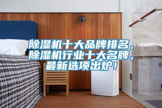 除濕機(jī)十大品牌排名，除濕機(jī)行業(yè)十大名牌，最新選項(xiàng)出爐！