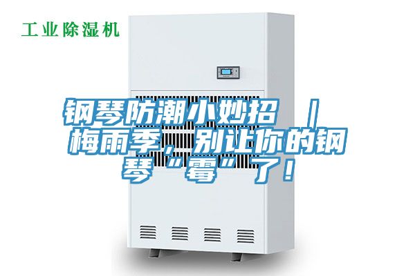 鋼琴防潮小妙招 ｜ 梅雨季，別讓你的鋼琴“霉”了！
