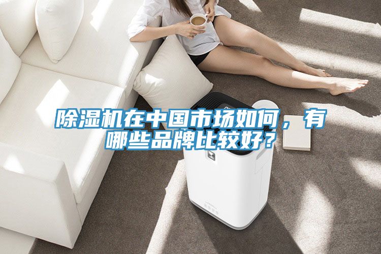 除濕機在中國市場如何，有哪些品牌比較好？