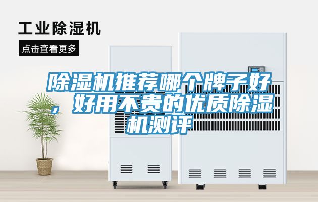 除濕機推薦哪個牌子好，好用不貴的優質除濕機測評