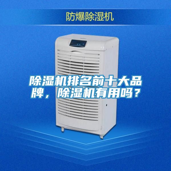 除濕機排名前十大品牌，除濕機有用嗎？