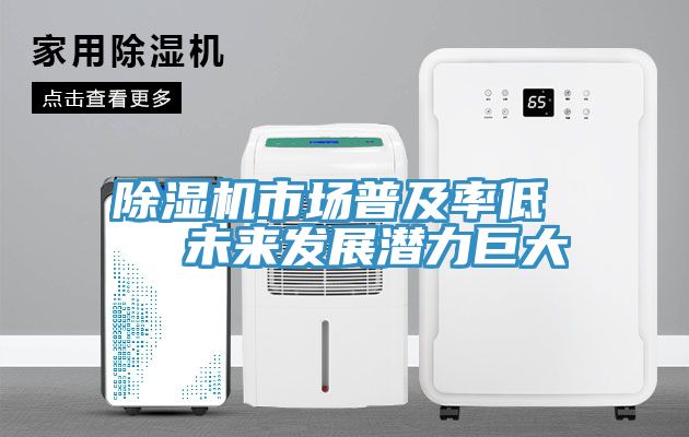 除濕機(jī)市場(chǎng)普及率低   未來(lái)發(fā)展?jié)摿薮?></div>
								<div   id=
