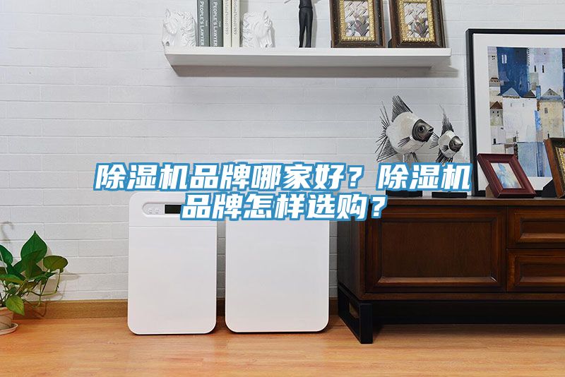 除濕機品牌哪家好？除濕機品牌怎樣選購？