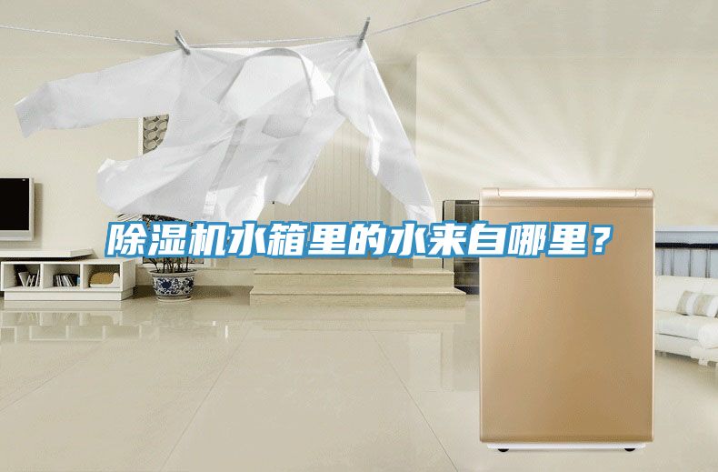 除濕機水箱里的水來自哪里？
