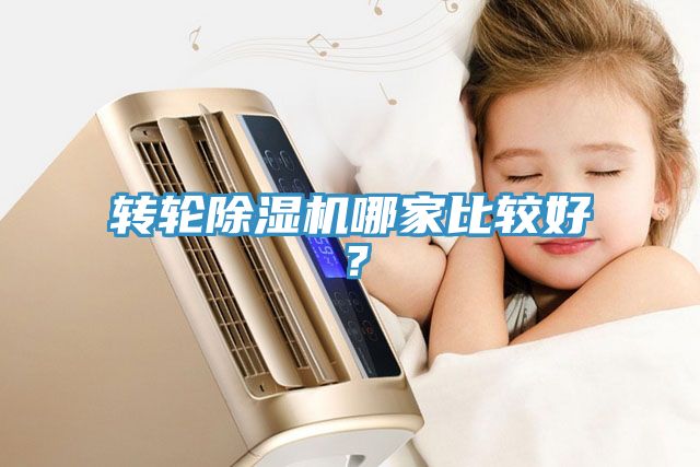 轉輪除濕機哪家比較好?